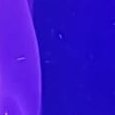 JPEG - 153 ko